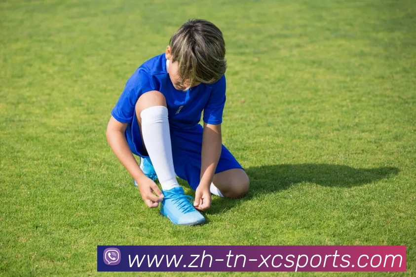 App Interface Preview