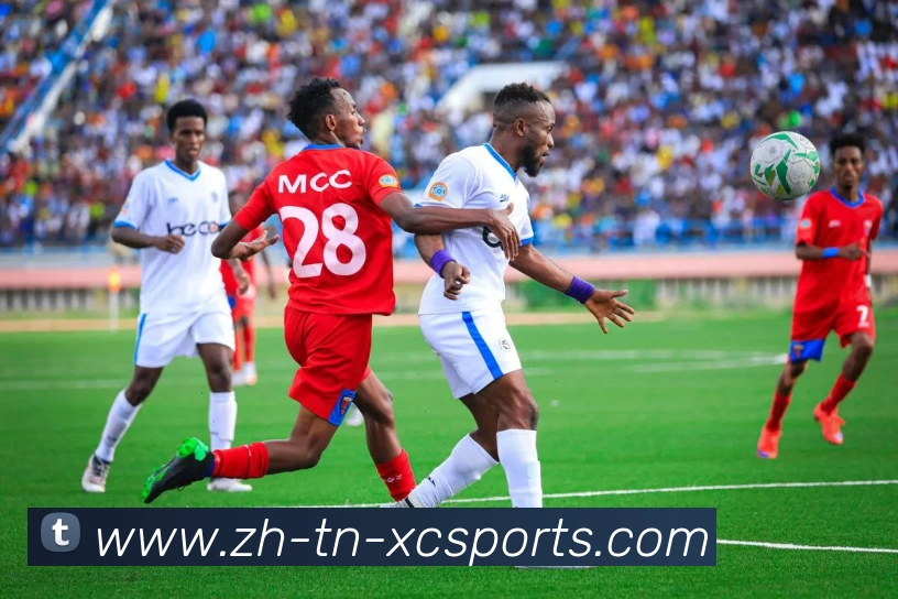 杏彩体育APP 封面图